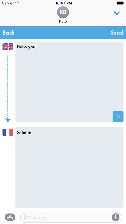 Tr : Automatic Translator