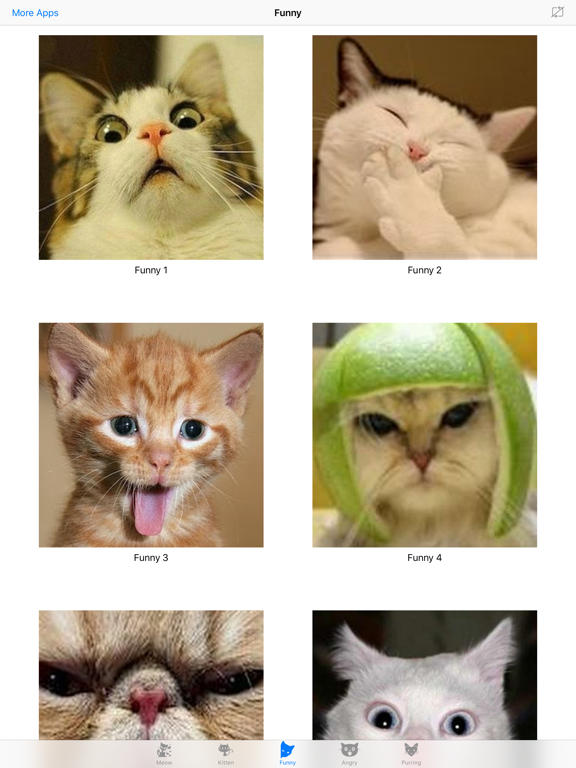 Screenshot #4 pour Cat Meow: Manière d'amusement de farce et troll