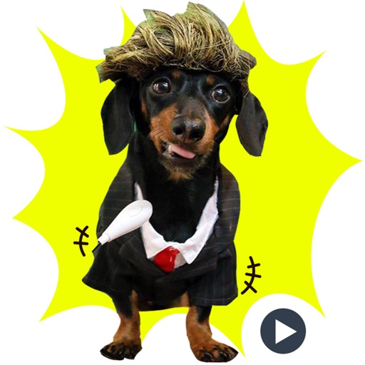 Sausage Dog- Dachshund Animated icon