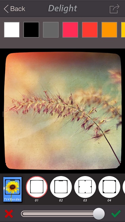 Delight - Quick Photo Editor