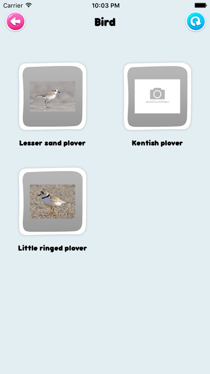 AnimalQuizz screenshot-3