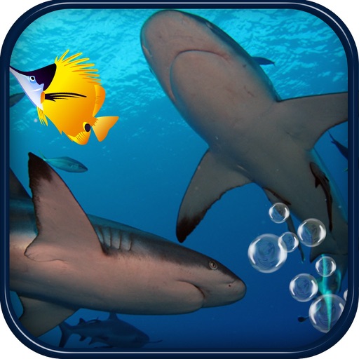 Ultimate Shark Simulator 3D Sharks Games Pro Icon