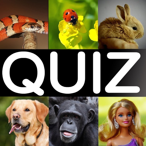 What is it? the funny picture quiz game! iOS App