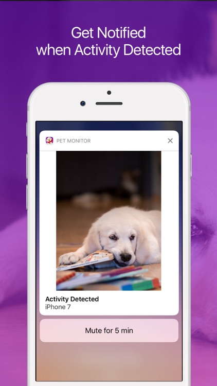 Pet Monitor: Dog and Puppy Camera