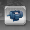 Electric Motor Glossary - Maple Tree