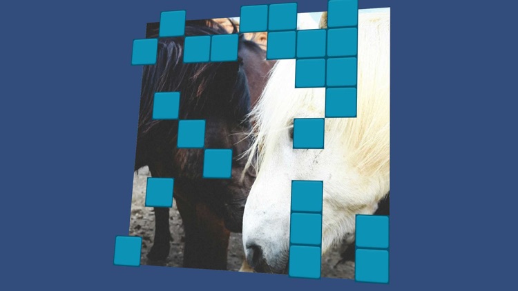 Wordsearch Revealer Horses screenshot-3