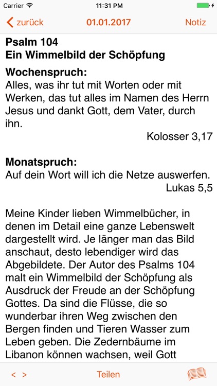 Lichtstrahlen 2017