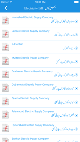 Electricity Bill screenshot