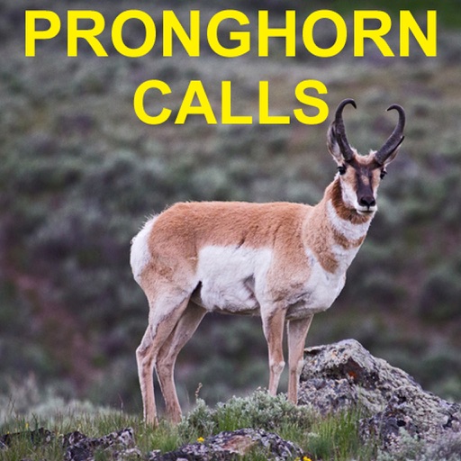 Pronghorn Hunting Calls & Big Game Calls HD icon