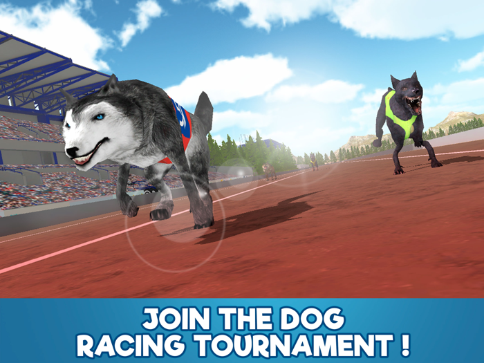 Dog Racing Tournament Sim 3D