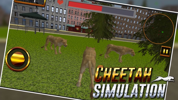 Cheeta City Park Attack Simulator -Tiger Animals Attack
