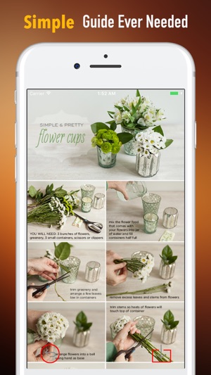 Flower Arrangement 101|Tutorial Guide and Tips(圖2)-速報App