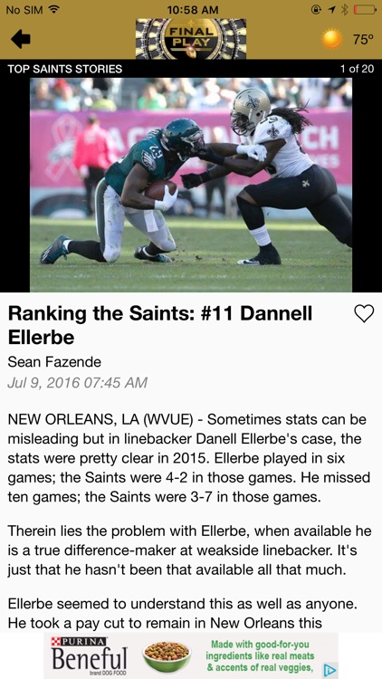 Final Play: New Orleans Pro Football