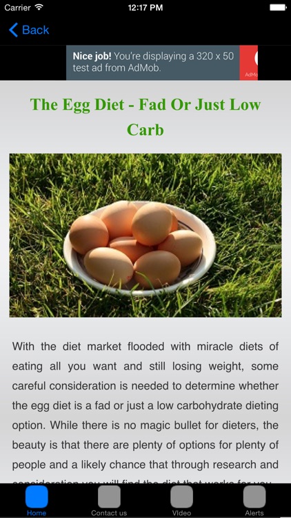 Egg Diet Meal Plan For Weight Loss