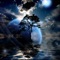 Record and decipher what your dreams mean
