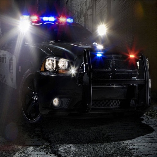 Police Crime Action - Police Simulator 2017 PRO