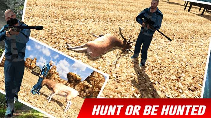 野生动物园鹿狩猎2016年 - 动物狙击第三人