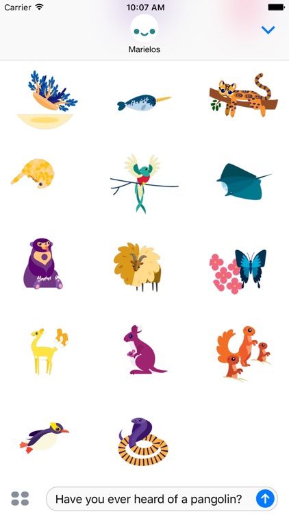 IDEOko Safari Stickers
