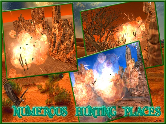 Wild Bird Hunter :Hunting Shooting Simulation free iPad screenshot 4 - Games app