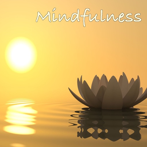Mindfulness Frases y Audios icon