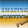 Amazing Puzzle Pro