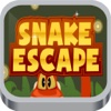 Snake Escape Puzzle Game