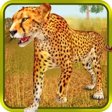 Activities of Cheetah Simulator 3d