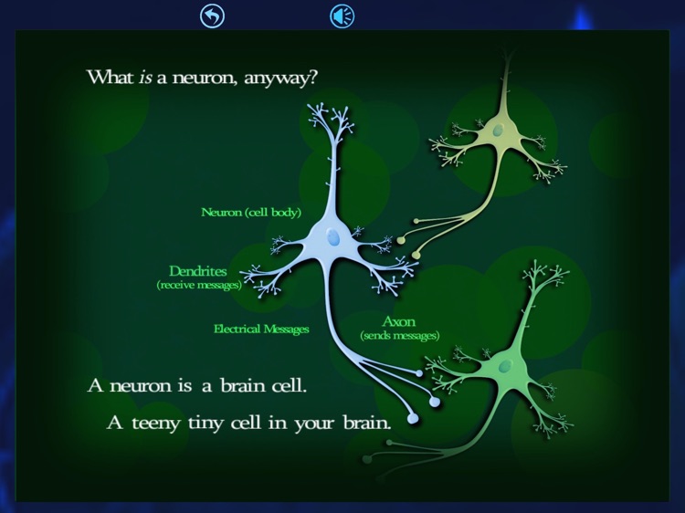 Neuron Galaxy