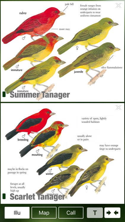 All Birds Trinidad and Tobago - a field guide screenshot-3