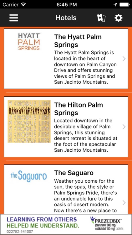 Palm Springs LGBT Pride