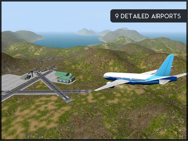 Avion Flight Simulator ™, game for IOS