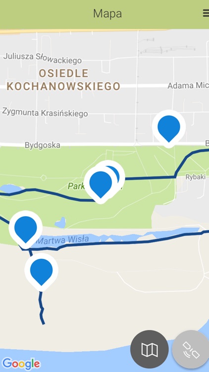 Ptaki i drzewa w mieście