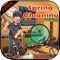 Spring Cleaning Hidden Object