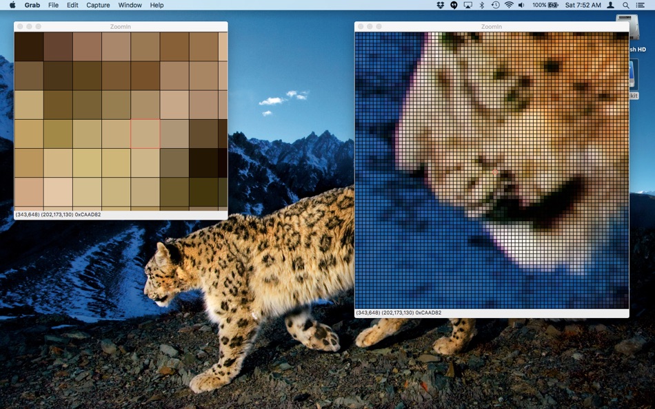 ZoomIn (macOS) 由: Roland Rabien ZoomIn (macOS) 由: Roland Rabien