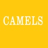 CamelsQuiz