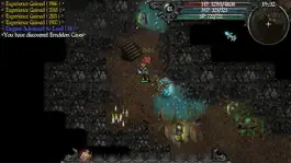 Game screenshot 9th Dawn II apk