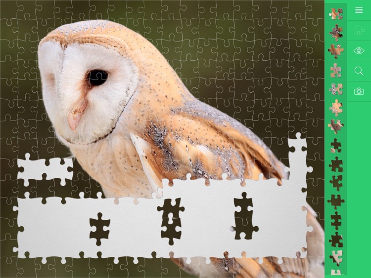 Jigsaw Puzzles Animals screenshot-3