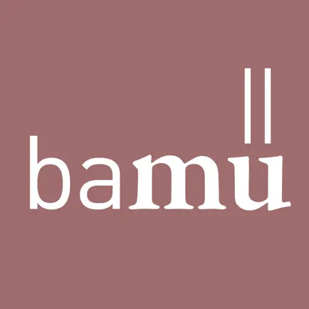 Basler Münster Читы