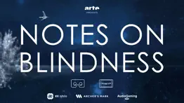 notes on blindness vr problems & solutions and troubleshooting guide - 4