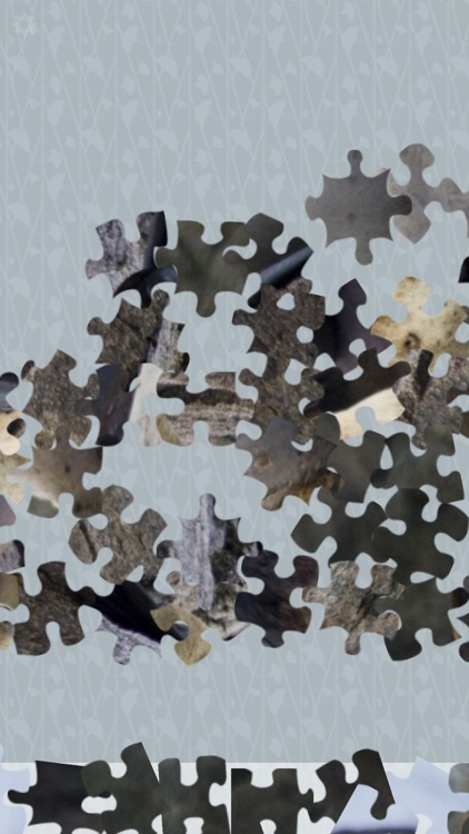 Alaska Jigsaw Puzzles screenshot-3