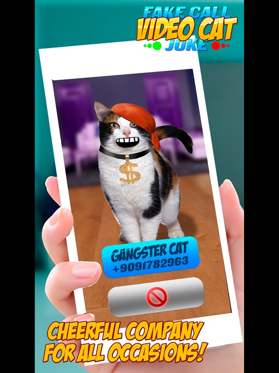 Fake Call Video Cat Joke iPad screenshot