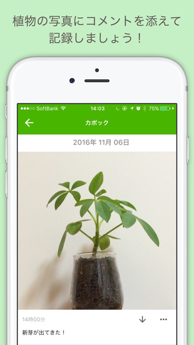 Screenshot #1 pour 観察日記