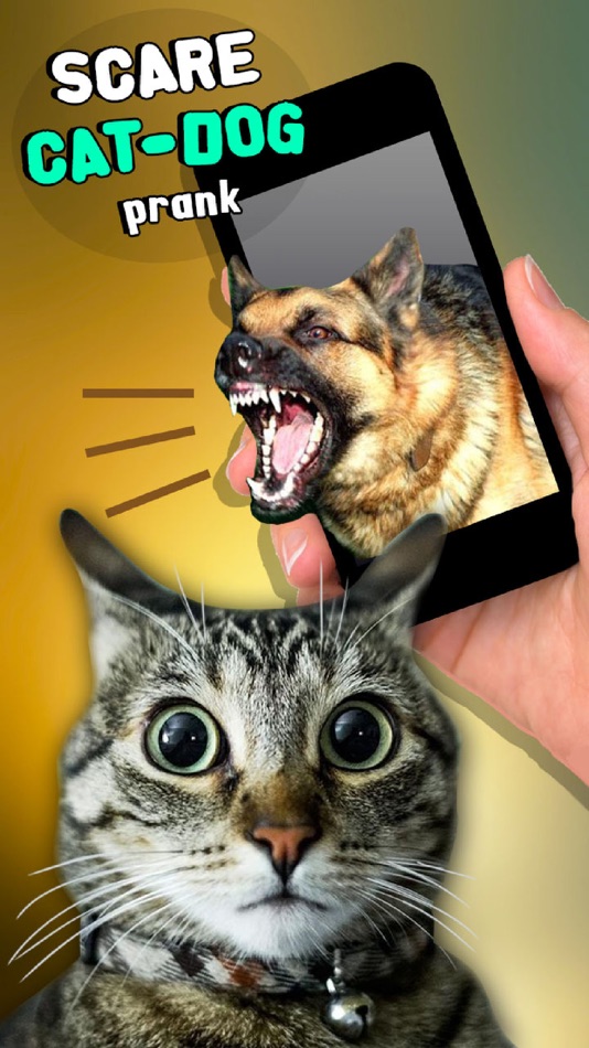 #1. Scare Cat - Dog Prank (iOS) Podle: Mariya Ivanova