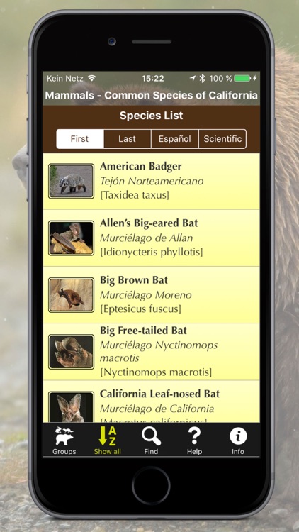 California Mammals – Guide to Common Species