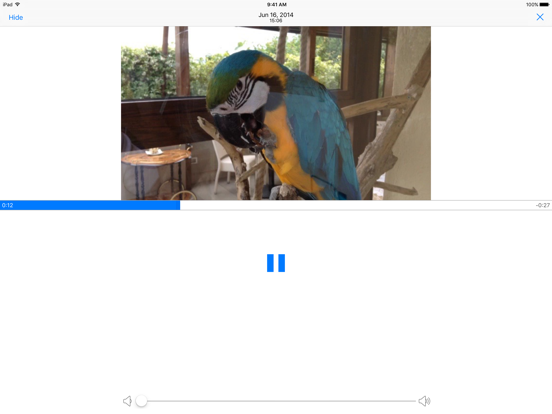 Cast Player: Your Photos and Videos on Chromecast iPad screenshot 4 - Photo & Video app