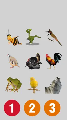 Game screenshot Several Animal Sounds hack