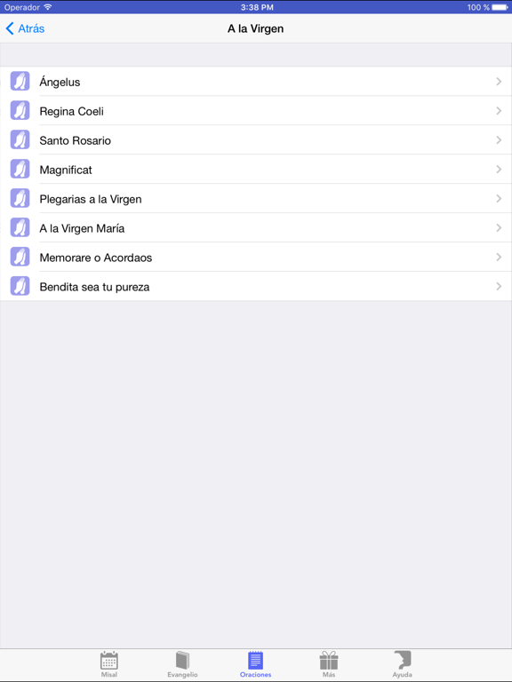 Liturgia de Chile, Argentina, Uruguay y Paraguay iPad screenshot 5 - Reference app