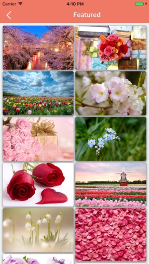 4K Flower - Best Free HD Flower Wallpaper(圖3)-速報App