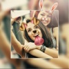 Snap Face Plus  for Snapchat - 2000+ Filters Effects Swap Pics Editor