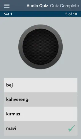 Game screenshot Turkish Essentials apk